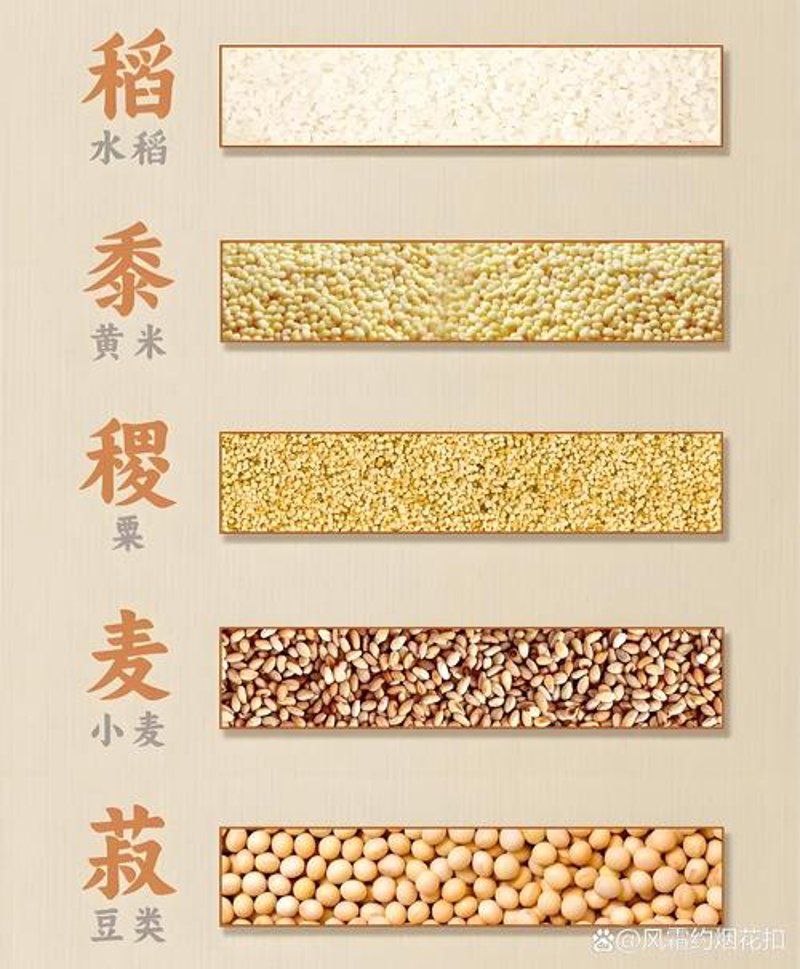 粮油贸易行业的风云变幻：从过去到现在