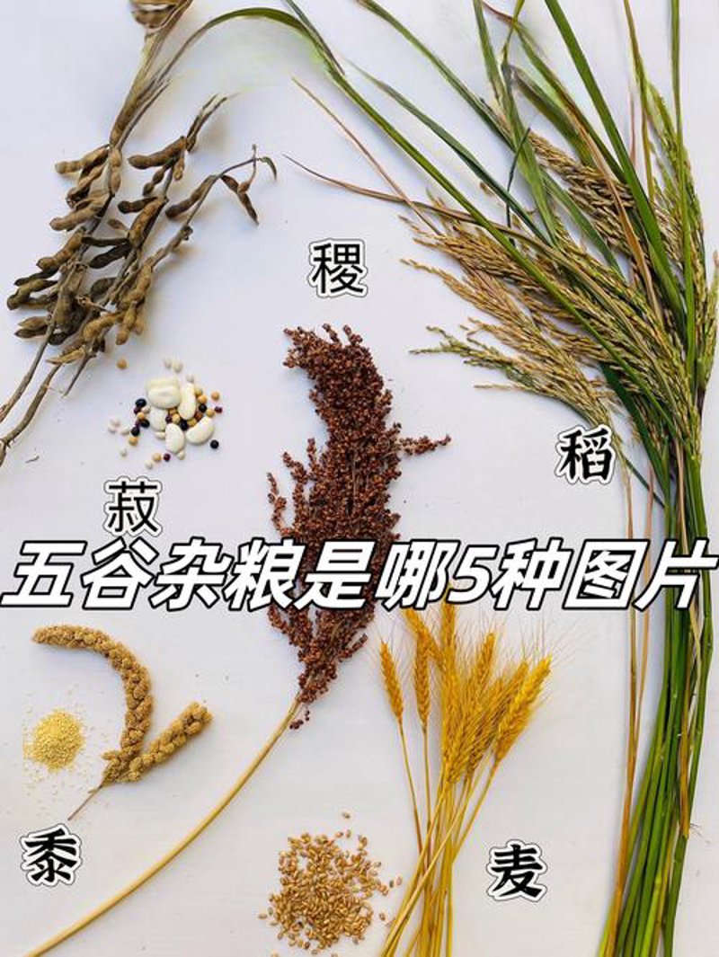 饲料原料